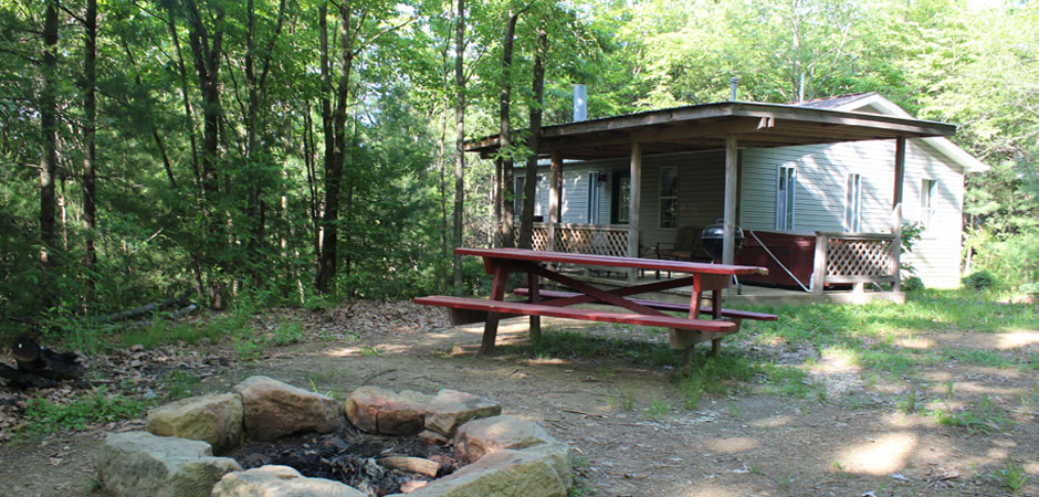 cabin, firepit, picnic table
