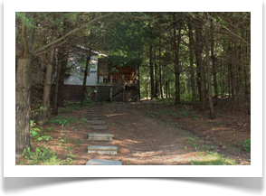 wildwood Cabin