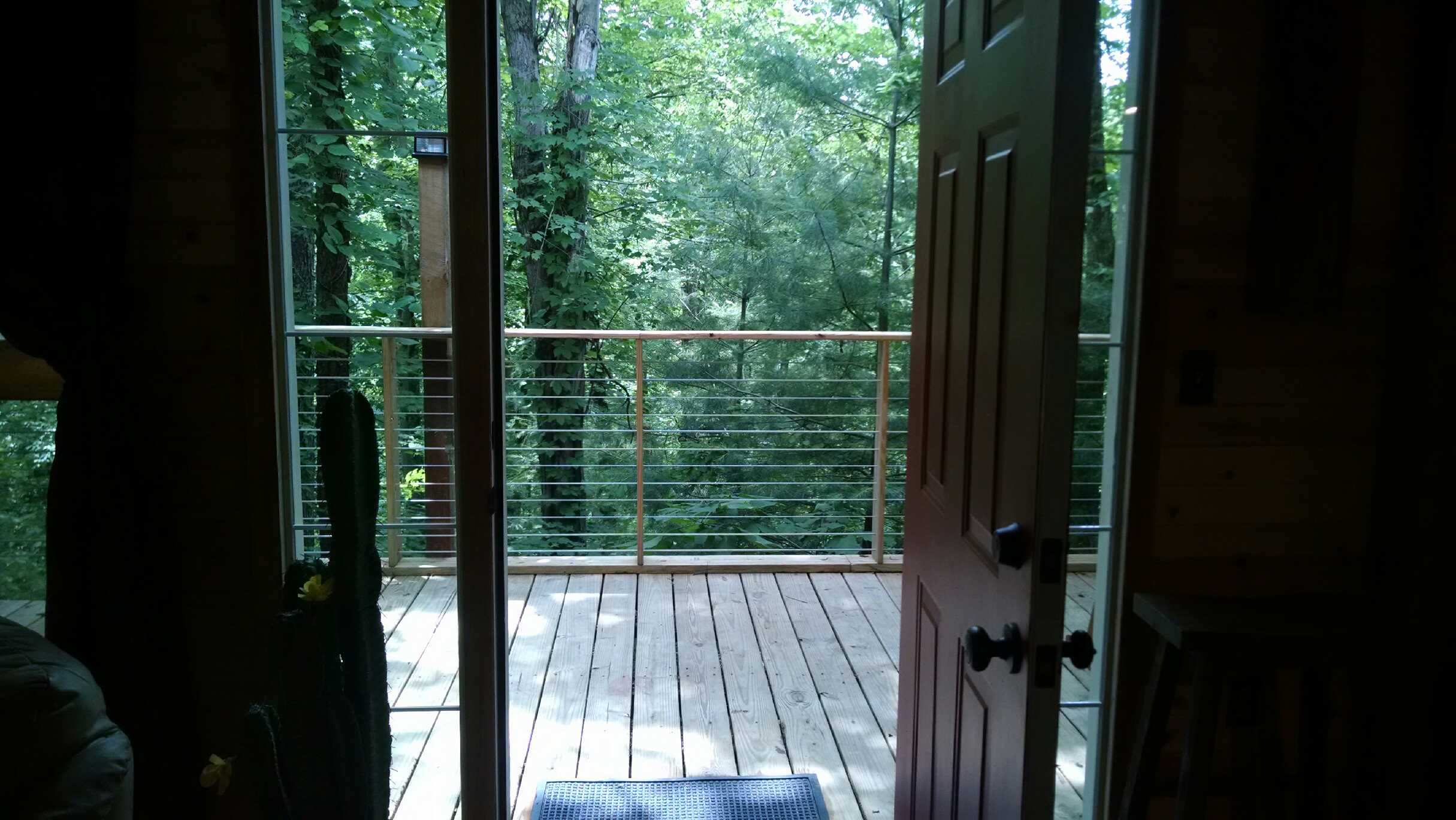 opened door, deck, woods