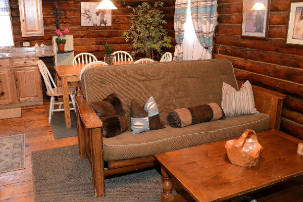 log cabin, sofa, living room
